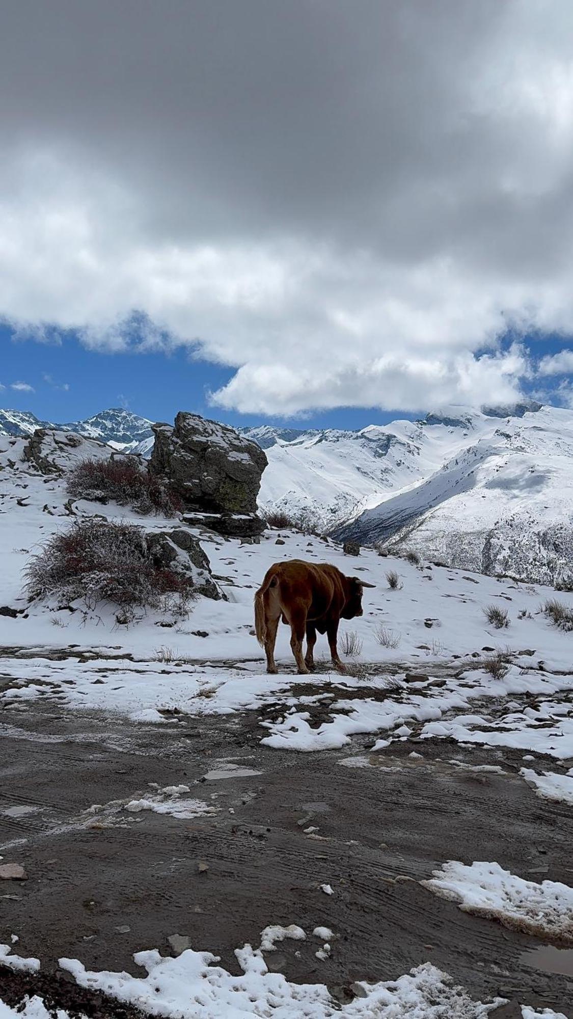 Casa A La Vera De La Sierra เกวคาร์-เซียร์รา ภายนอก รูปภาพ